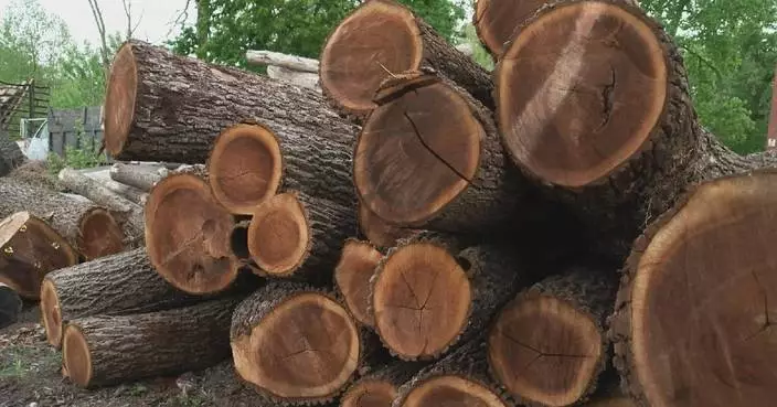 Trump-supporting timber business owner struggles as tariffs disrupt trade