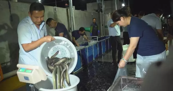 Central China airport sees first live eel export to South Korea