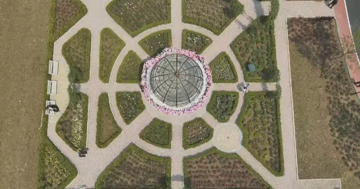 Int&#8217;l rose expo in Beijing delight visitors