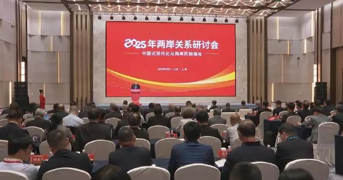 Experts discuss future of cross-Strait relations at Shanghai seminar