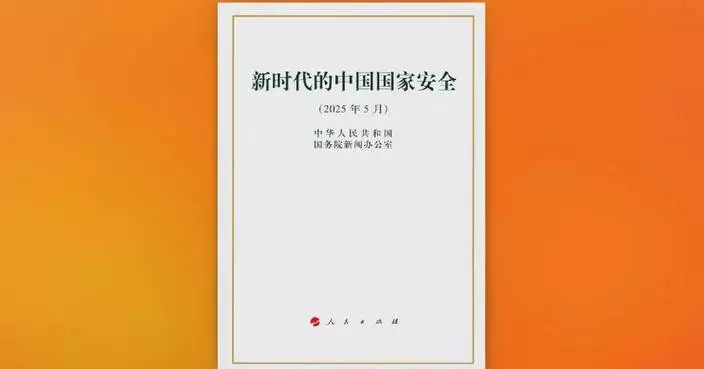 China releases white paper on national security