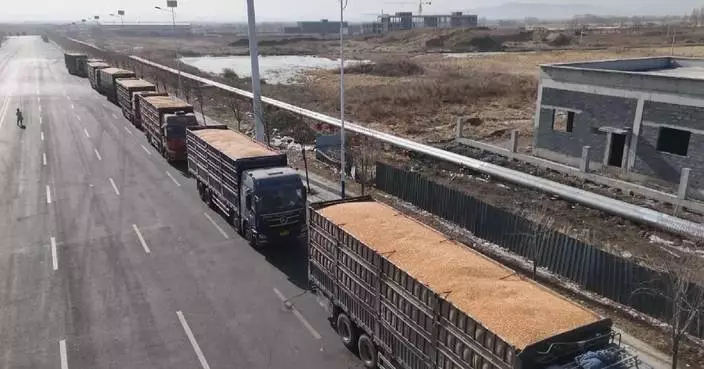 China purchases 345 mln tons of autumn grain