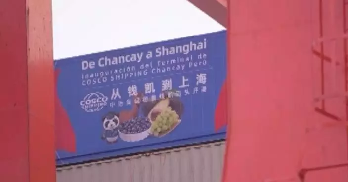 Cargo value on Chancay-Shanghai shipping route exceeds 1 billion yuan