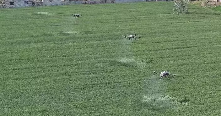 Chinese farms use drones, advanced farm machinery to manage grain production