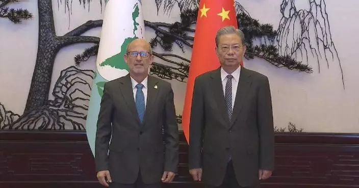 China&#8217;s top legislator meets visiting Parlatino president