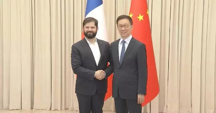 Chinese VP meets Chilean president