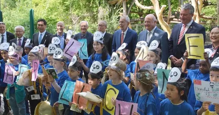 Panda pair debuts at Vienna's Schoenbrunn Zoo, receiving warm welcome