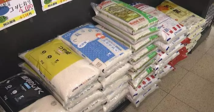 Japan rice prices fall for first time in 18 weeks