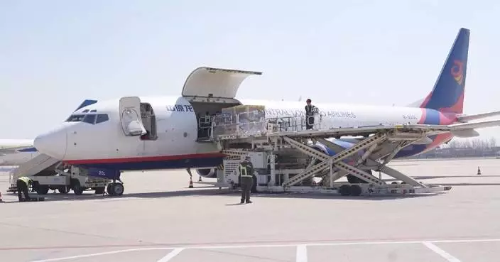 China&#8217;s air cargo demand sustains strong growth in Q1: industry data