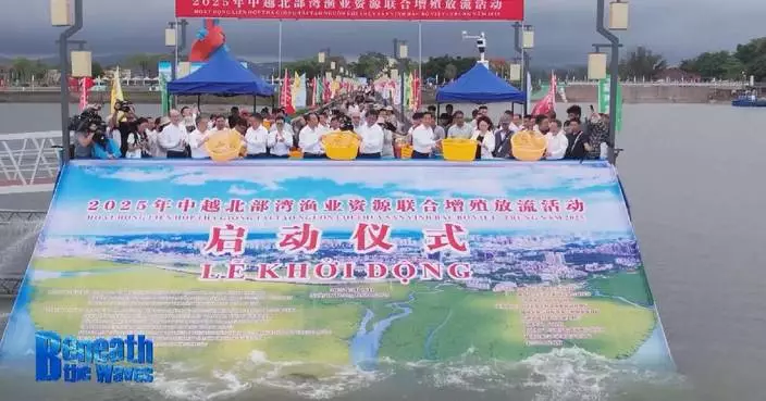 China, Vietnam strengthen marine conservation through joint fish stocking initiative