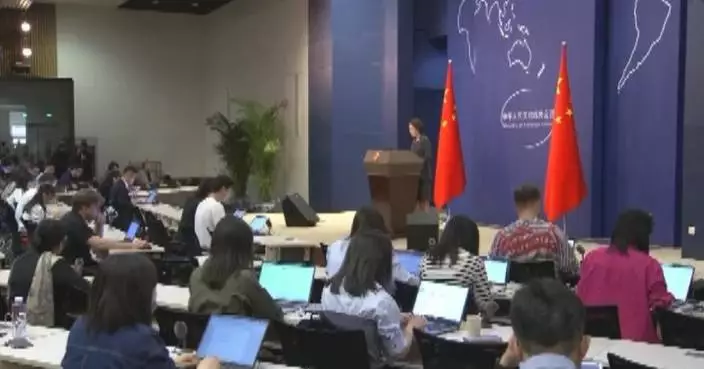 China supports immediate realization of lasting ceasefire in Gaza Strip: spokeswoman