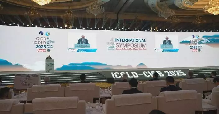 Experts gather in Chengdu to discuss dam construction, management