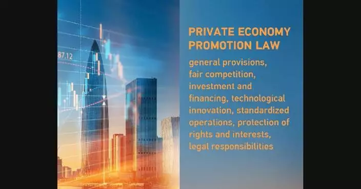 China&#8217;s landmark private sector promotion law sends strong signals to tech innovators: industry leaders