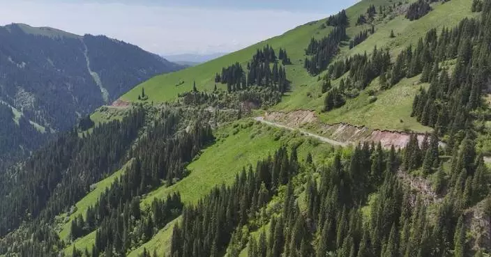Scenic highway in northwest China's Xinjiang attracts flocks of tourists after seasonal closure