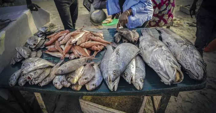 Foreign overfishing in Senegal fuels migration to Spain, a report finds