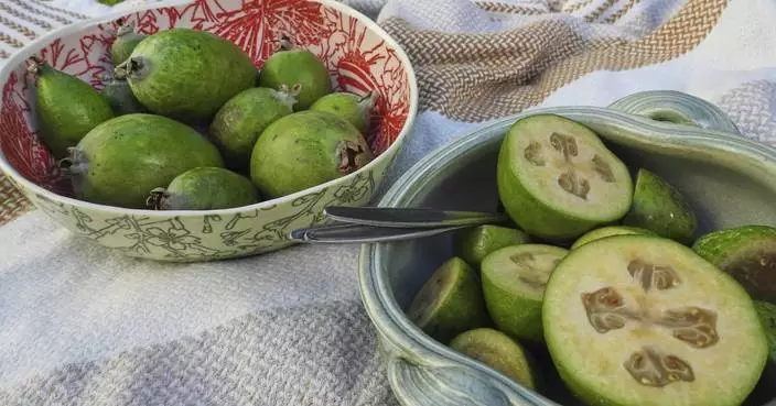 New Zealand&#8217;s unofficial fruit is the feijoa, not the kiwi. And part of the fun is in giving it away