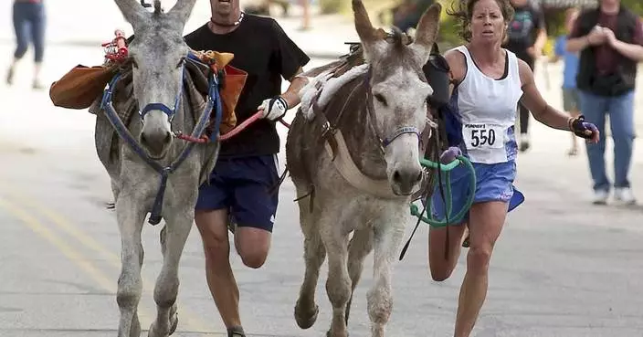 Backcountry runners embrace the thrill of racing with burros in New Mexico