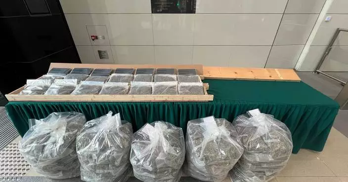 Hong Kong Customs Seizes 60kg of Cannabis Worth $13 Million, Arrests Three Men