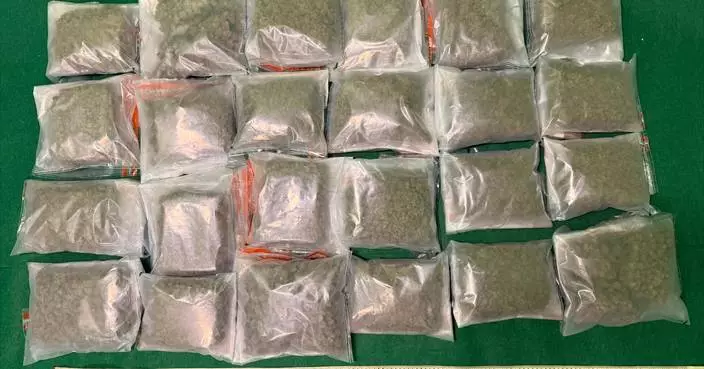 Hong Kong Customs Seizes 13kg of Cannabis, Arrests Foreign Passenger at Airport