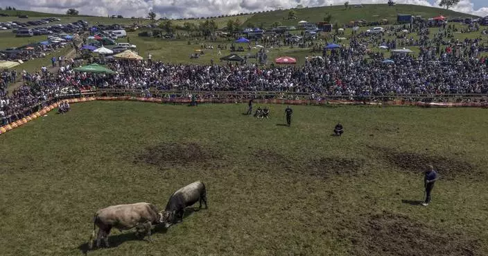 A teenage bullfighting enthusiast celebrates victories in Bosnia