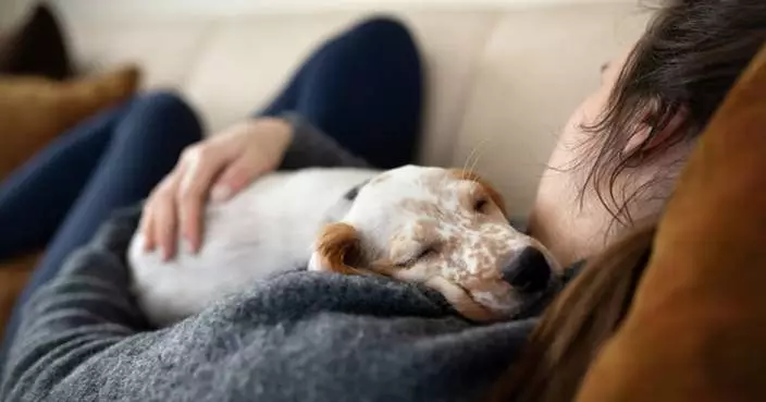 Six in 10 pet owners reveal they prefer to spend time with their pets when feeling stressed, according to new survey