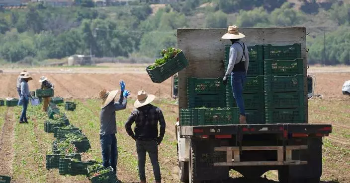 Immigration raids are threatening businesses that supply America&#8217;s food, farm bureaus say