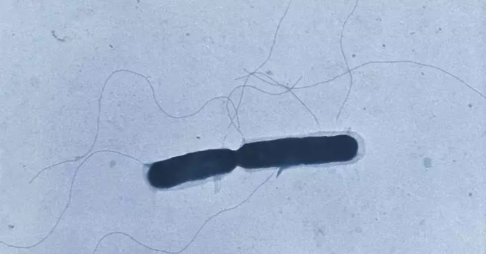 Deadly listeria outbreak linked to chicken alfredo fettucine sold at Kroger and Walmart