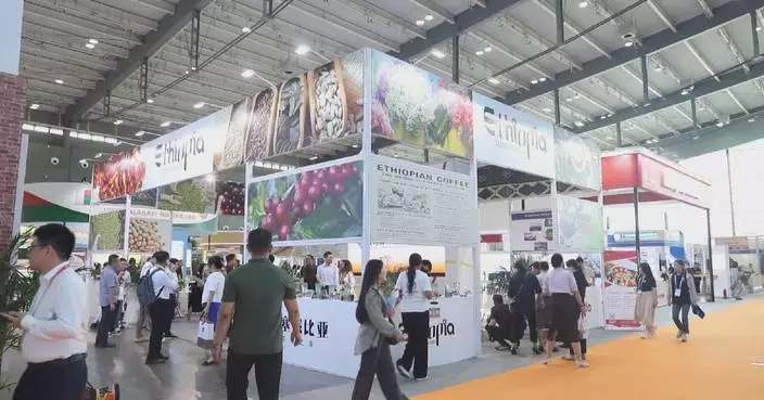China-Africa expo opens with focus on economic ties