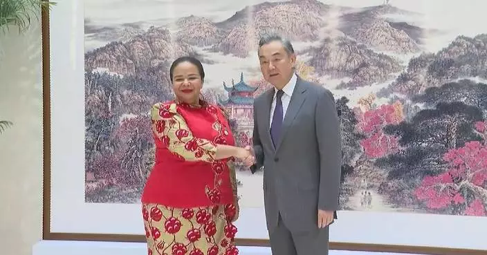 Chinese FM meets DR Congo counterpart in Changsha