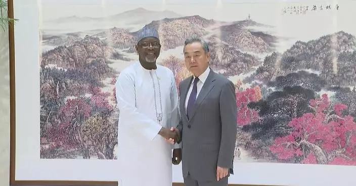 China willing to deepen friendship, enhance mutual trust with Niger: FM