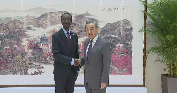 Chinese FM meets Ethiopian counterpart in Changsha