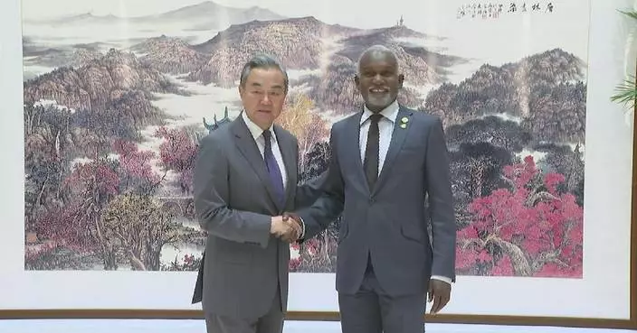 Chinese FM meets his Nigerian counterpart