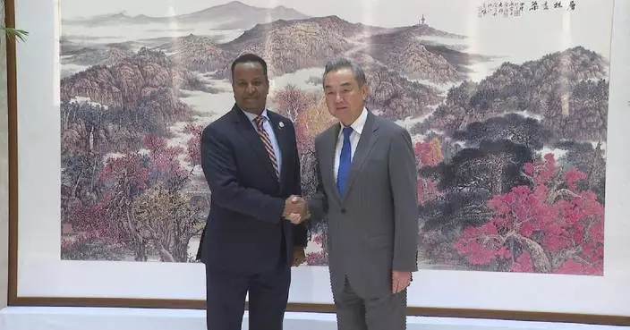 Chinese FM meets Somalian FM in Changsha