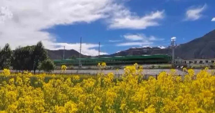 Xizang tourism rebounds with record number of tourist trains