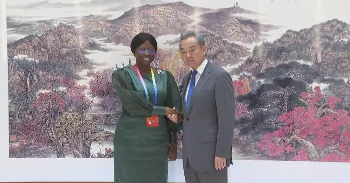 Wang Yi meets with Mozambican foreign minister
