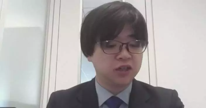 US tariffs harm profits of Japanese enterprises: economist