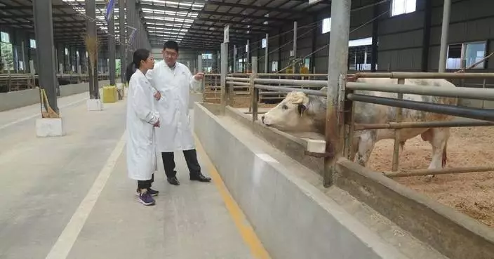 Three "little giant" firms in Jilin exemplify China's industrial upgrade strategy