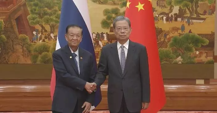 China's top legislator meets Thai National Assembly president