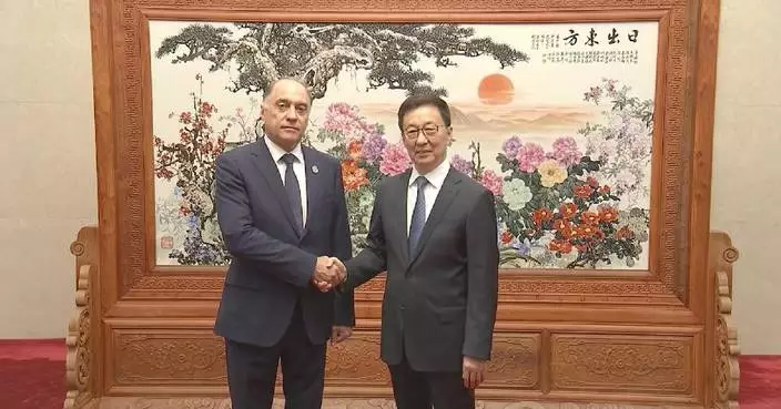 Chinese vice president calls for enhanced SCO security cooperation