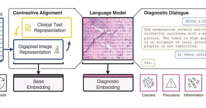 Paige Releases PRISM2: A Whole-Slide Foundation Model for Multimodal AI in Pathology and Cancer Care