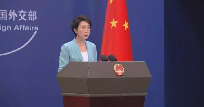 Trade issues with EU can be resolved through dialogue: spokeswoman