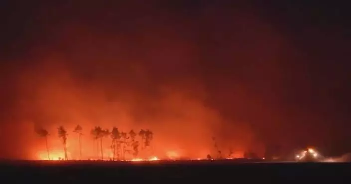 Wildfire in eastern Germany contained, leaving vast forest destroyed