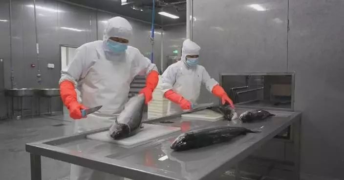China's cold-chain logistics sector expands steadily in H1