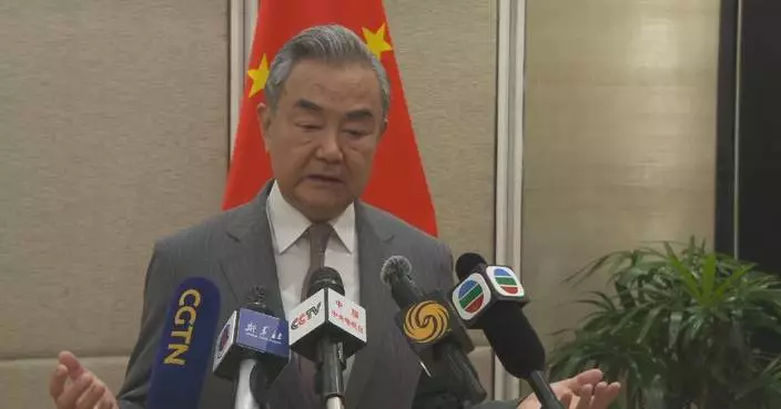 Chinese FM hails joint efforts by China, ASEAN countries to make South China Sea stable