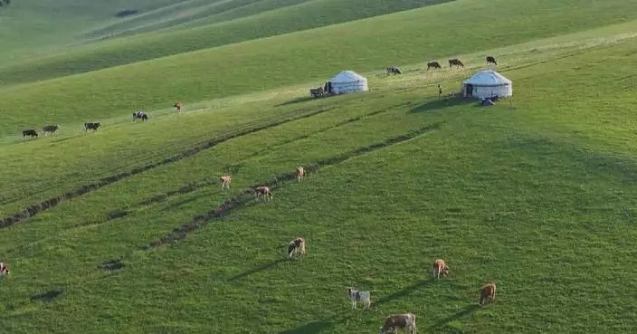China achieves substantial reduction in degraded grasslands