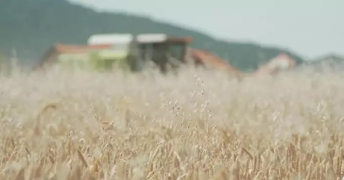 Serbian farmers struggle amid drought brought by relentless heatwave