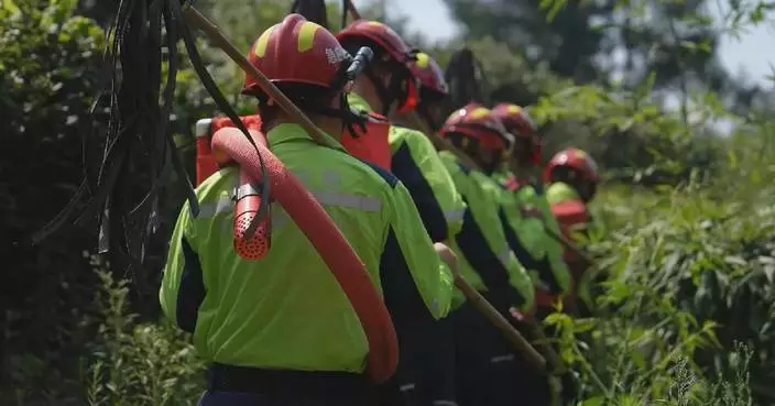 Chongqing intensifies efforts to prevent forest fires amid continuous high temperatures