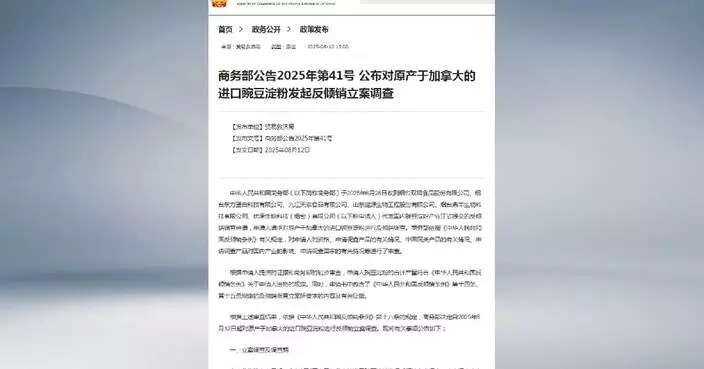 China launches anti-dumping probe into pea starch imports from Canada