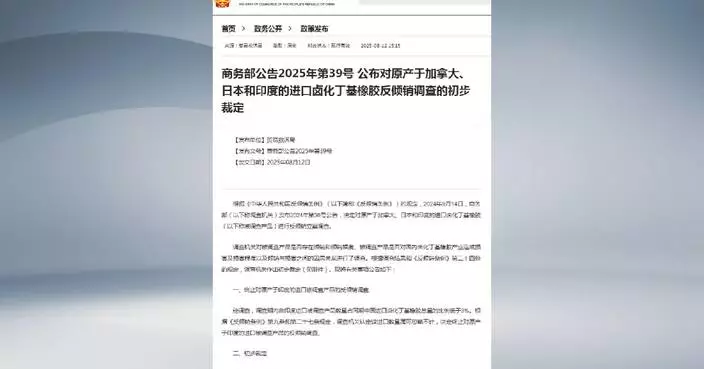 China announces anti-dumping rulings on halogenated butyl rubber from Canada, Japan, India