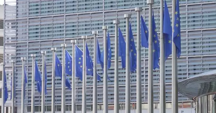 Peace deal cannot be made without Ukraine: EU leaders